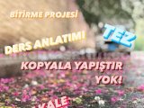 ÖZEL DERS MAKALE TEZ PROJE BİLDİRİ ÇEVİRİ